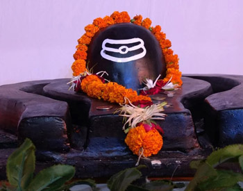 Rudrabhishek Puja